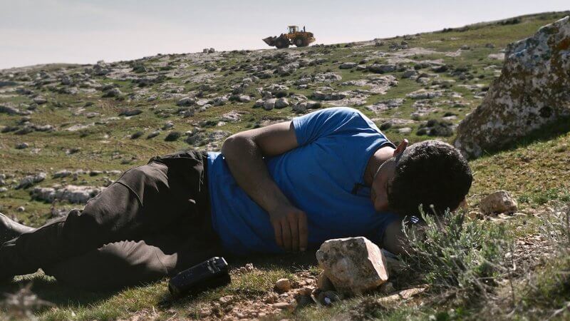 Arab Films at TIFF 2024